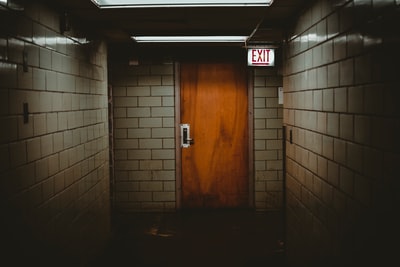 Shallow focal photo brown wooden door
